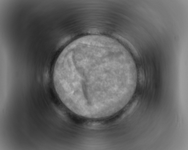 X0000086940208200705141809