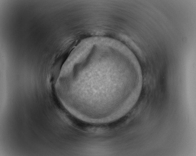 X0000086940209200705141809