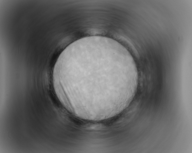 X0000086940210200705141809