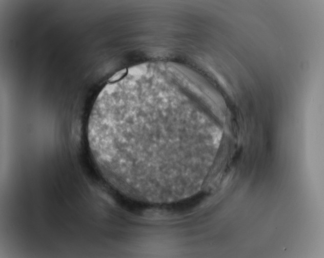 X0000086940211200705141809