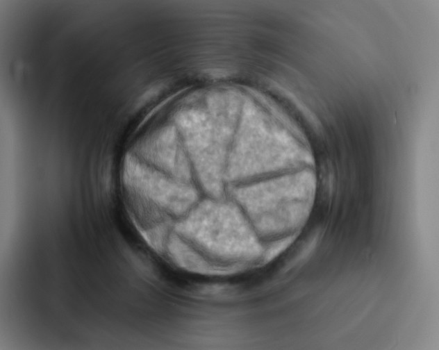 X0000086940212200705141809