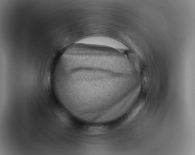 X0000086940213200705141809