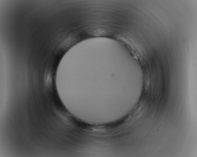 X0000086940214200705141809