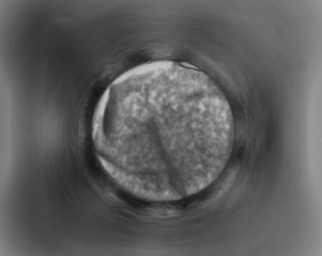 X0000086940215200705141809