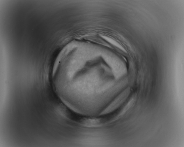 X0000086940217200705141808
