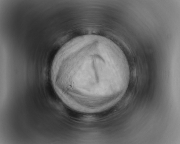 X0000086940218200705141808