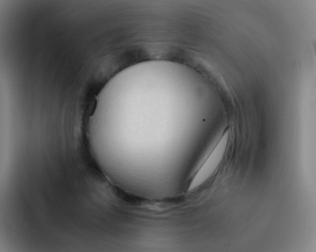 X0000086940221200705141808