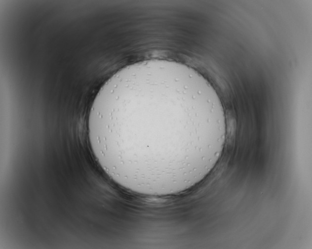 X0000086940222200705141808