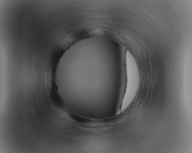 X0000086940223200705141808