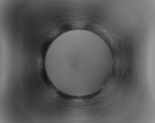 X0000086940224200705141808