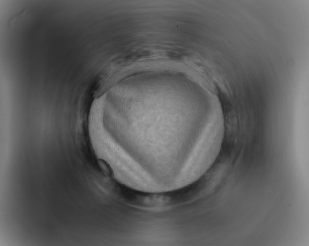 X0000086940225200705141808