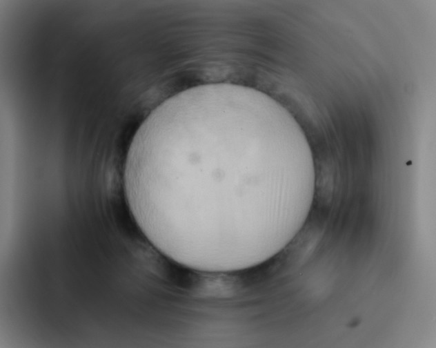 X0000086940226200705141808