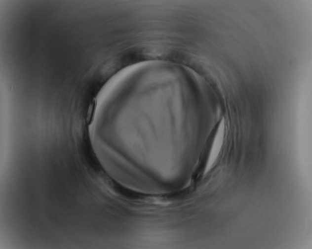 X0000086940227200705141808