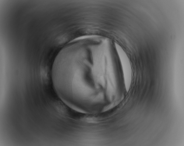 X0000086940228200705141808