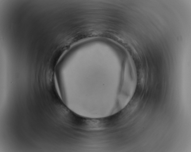 X0000086940230200705141808