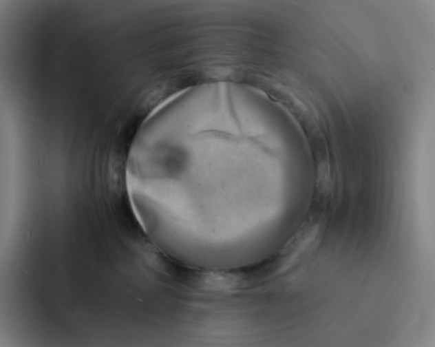 X0000086940234200705141808