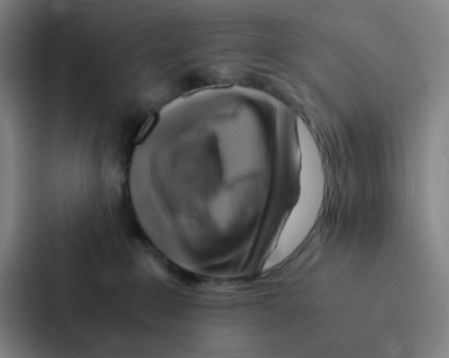 X0000086940235200705141808