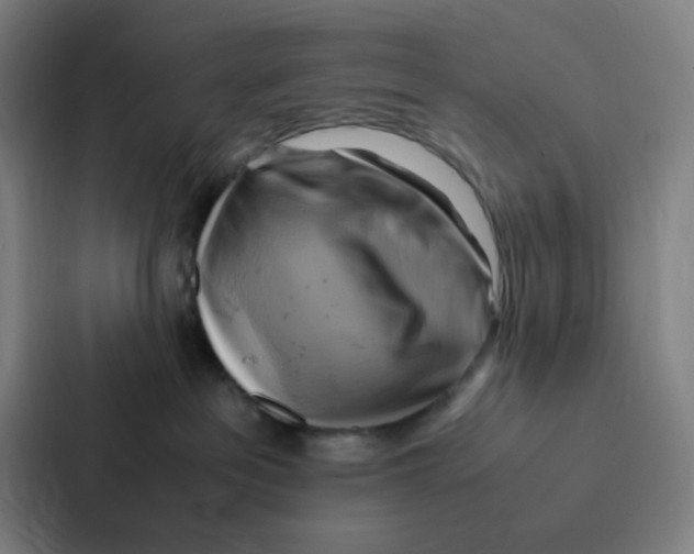 X0000086940237200705141808