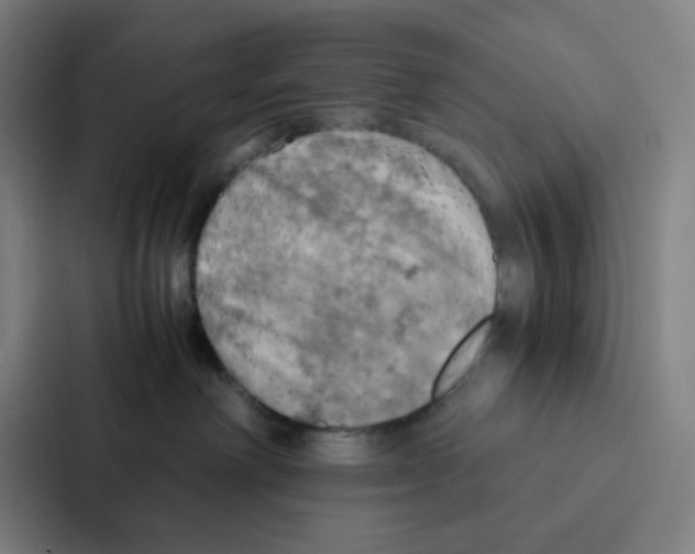 X0000086940238200705141808
