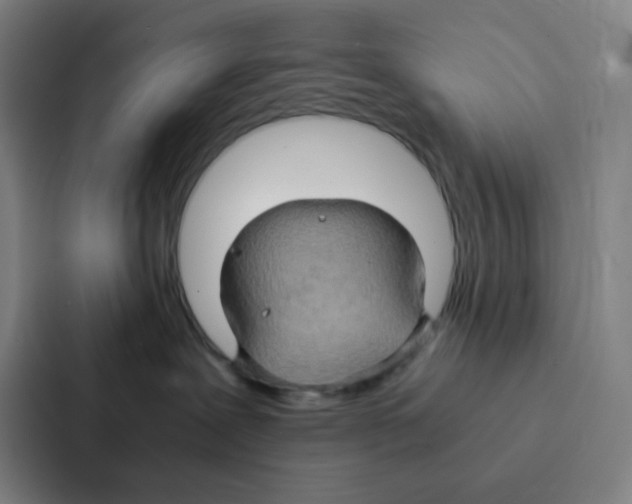 X0000086940239200705141808