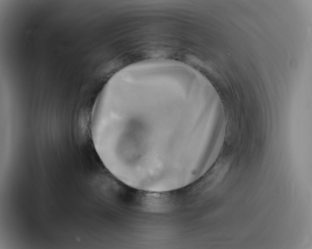 X0000086940240200705141808