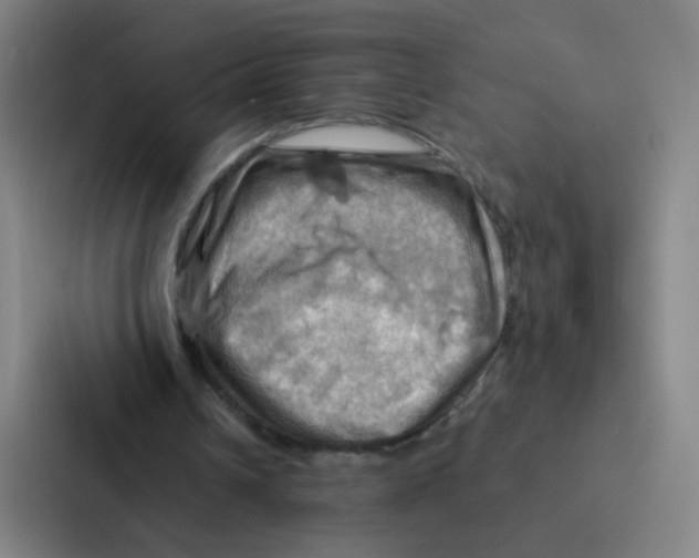 X0000086940242200705141808