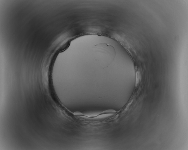 X0000086940243200705141808