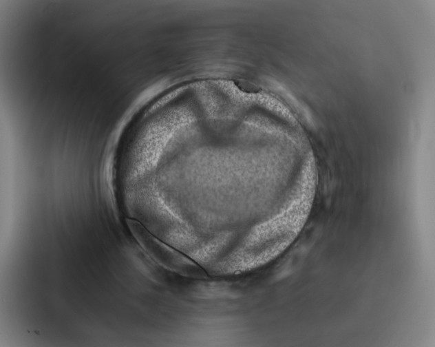 X0000086940244200705141808