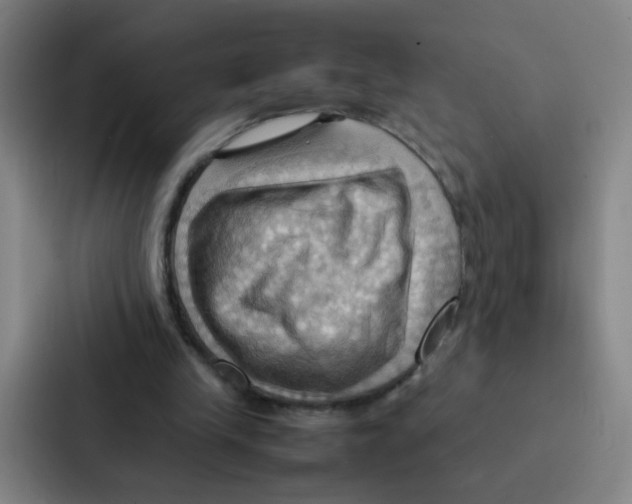 X0000086940245200705141808