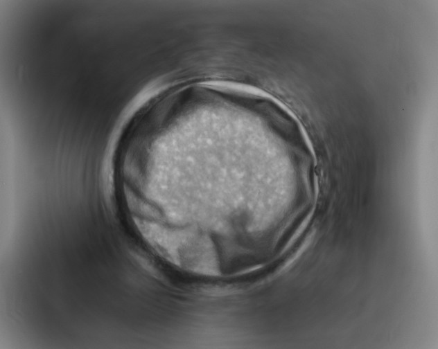 X0000086940246200705141808