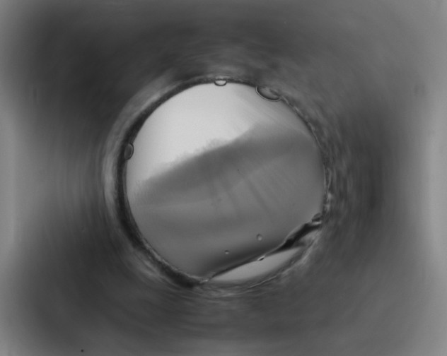X0000086940247200705141808