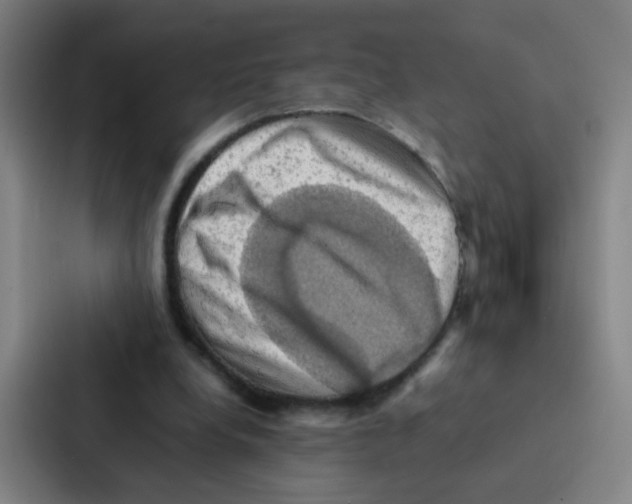 X0000086940248200705141808