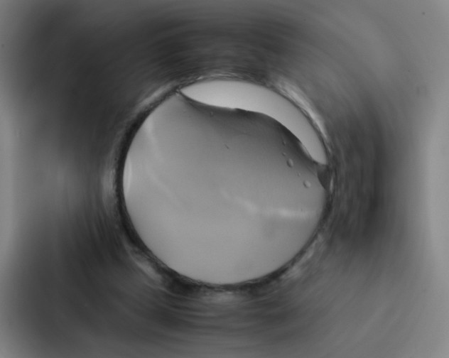 X0000086940249200705141808