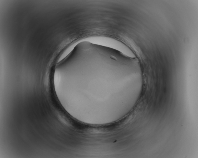 X0000086940250200705141808