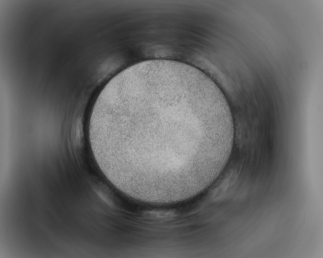 X0000086940251200705141808