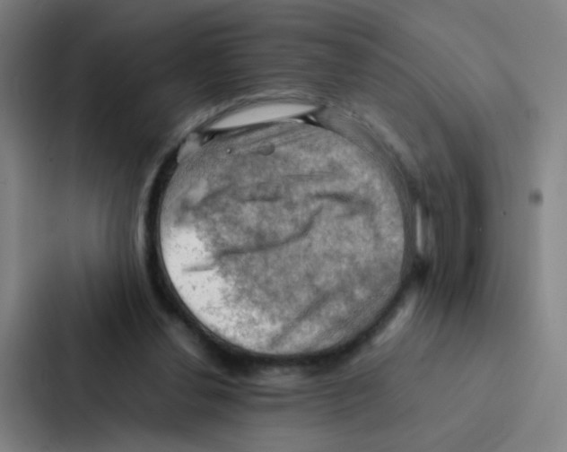 X0000086940252200705141808