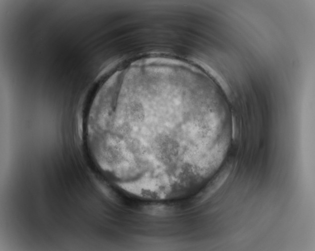 X0000086940253200705141808