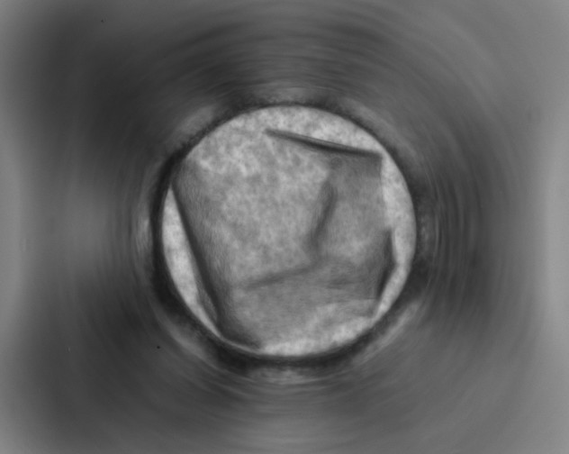 X0000086940254200705141808