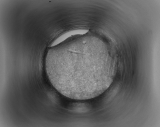 X0000086940255200705141808