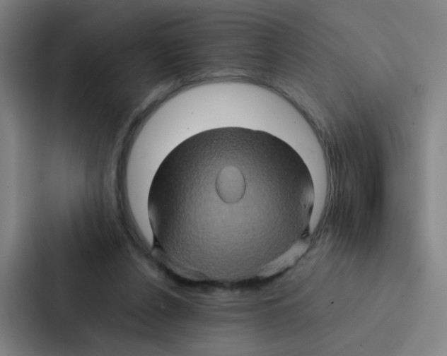 X0000086940256200705141808