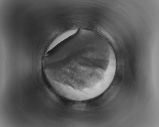 X0000086940257200705141808