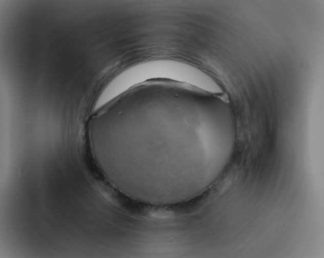 X0000086940258200705141808