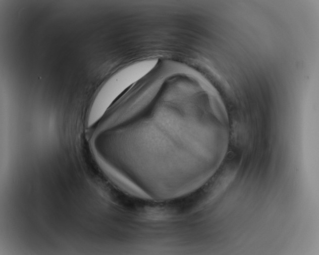 X0000086940259200705141808