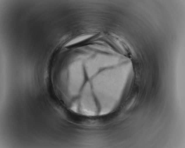 X0000086940260200705141808