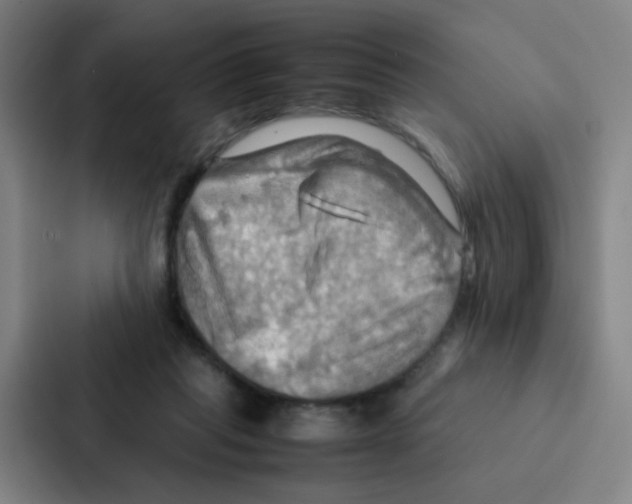 X0000086940261200705141808