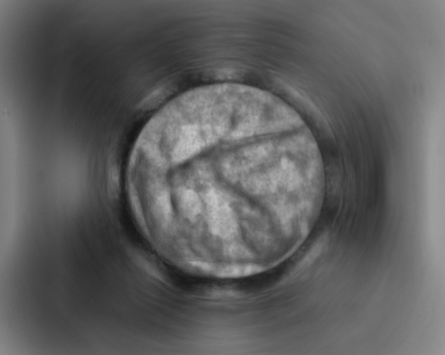 X0000086940262200705141808