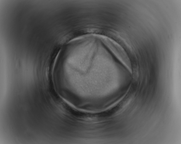 X0000086940263200705141808