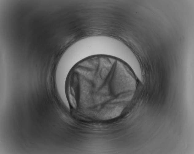 X0000086940264200705141808