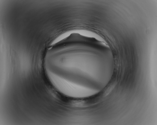 X0000086940266200705141808
