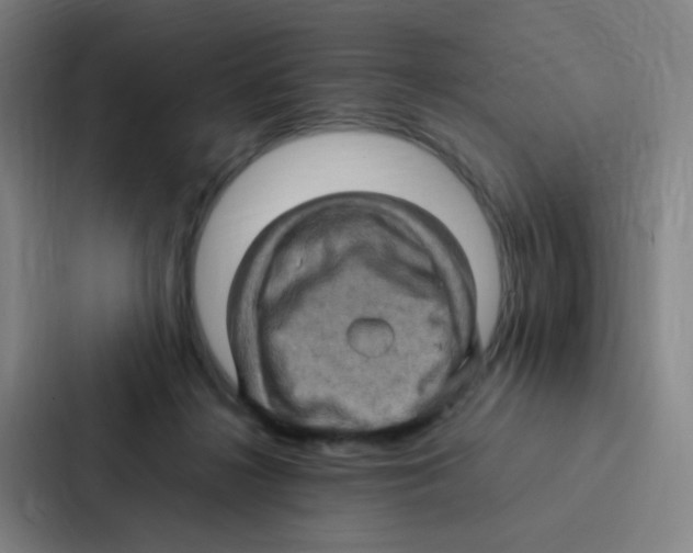 X0000086940268200705141808